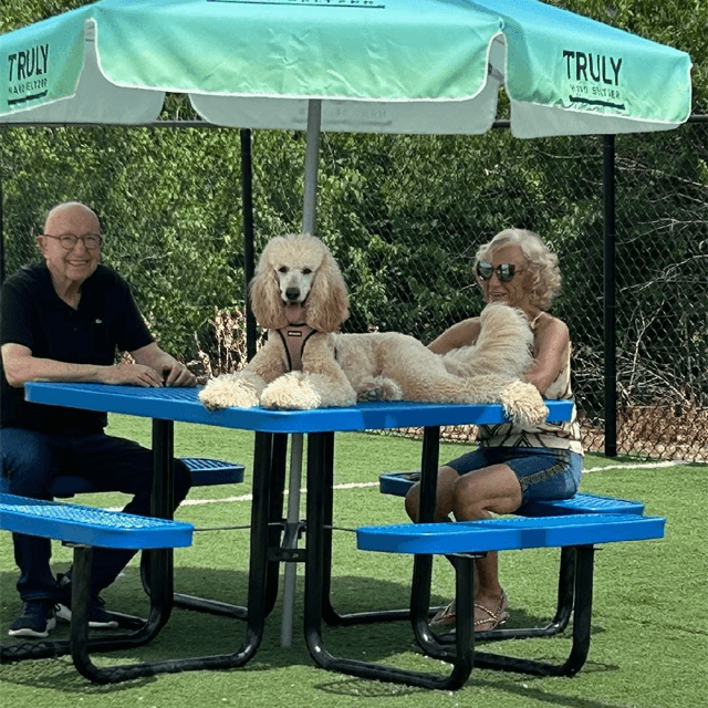 Man and woman with dog sitting under an unbrella in a park